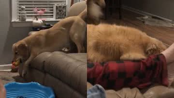 Reprodução/TikTok @naomiblk1