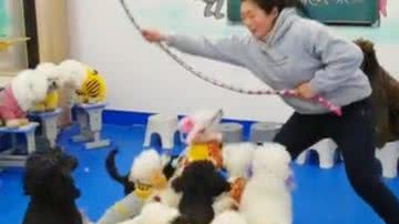 Reprodução/ Vídeo