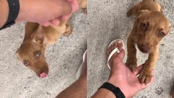 Reprodução/TikTok @moisessluiz