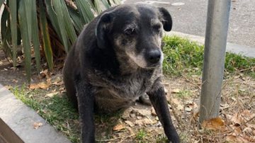 Divulgação/Google Maps