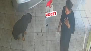 Reprodução/TikTok @aneliseraquel56