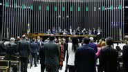 Elaine Menke / Câmara dos Deputados / Divulgação
