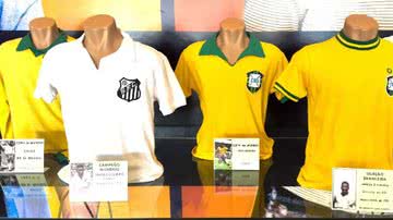 organização/Divulgação