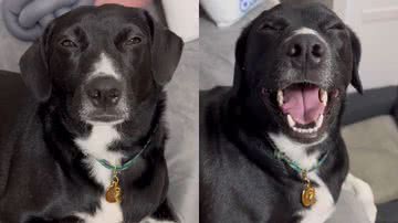 Reprodução/TikTok @oreofigueiredo