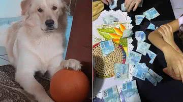 Reprodução/ Twitter