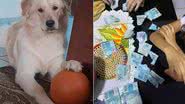 Reprodução/ Twitter