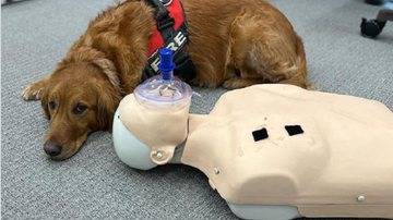 Reprodução / Redes Sociais