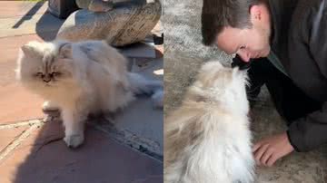 Reprodução/TikTok @toxbytori