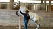 Brittany Hirst/Guinness World Records