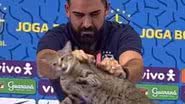 Reprodução/Redes Sociais