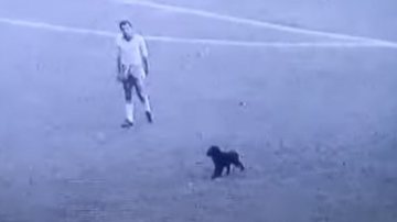 Nos anos 60, o troféu do Mundial foi roubado — o cão Pickles encontrou-o, Mundial 2022