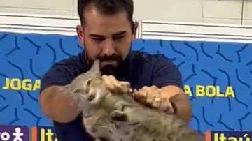 Reprodução/Redes Sociais