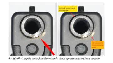 Reprodução