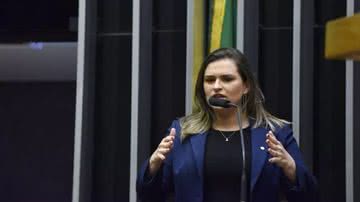 Zeca Ribeiro / Câmara dos Deputados