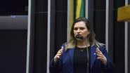 Zeca Ribeiro / Câmara dos Deputados