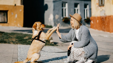 Zigmars Berzins por Pixabay