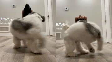 Reprodução / TikTok