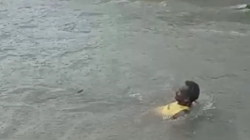 Reprodução / Vídeo