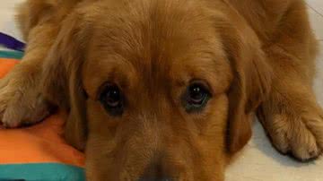 Reprodução/ Vídeo