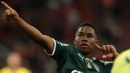 Cesar Greco/Palmeiras