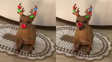 Reprodução/TikTok @nataliaquarezemim