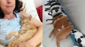 Reprodução/Instagram/Arquivo Pessoal