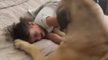 Reprodução/ Vídeo