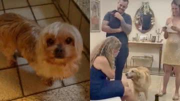 Reprodução/TikTok @yasminzaka