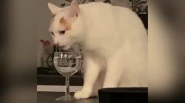 Reprodução/TikTok @beathrizyantunes