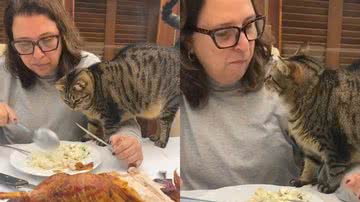 Reprodução/TikTok @gio_wermelinger