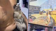 Reprodução/TikTok @emilyrafaella11