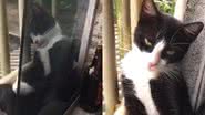 Reprodução/TikTok @erikaserafimss