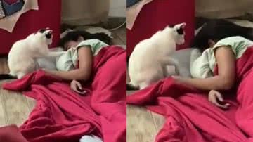 Reprodução/TikTok @conoliveira0471