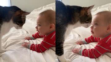 Reprodução/TikTok @breeziestardust