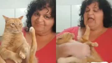 Imagem Gato é traído pelo próprio temperamento e se dá mal no final; assista