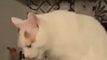 Reprodução / Instagram