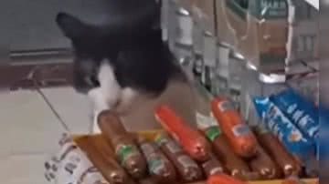 Reprodução/ Vídeo