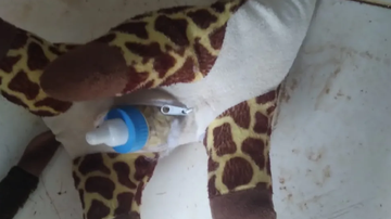 Divulgação/Polícia Civil