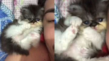 Reprodução/TikTok @eaitaylor2