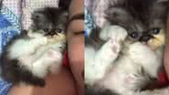 Reprodução/TikTok @eaitaylor2