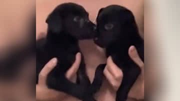 Reprodução/TikTok @carolinaaguilar4
