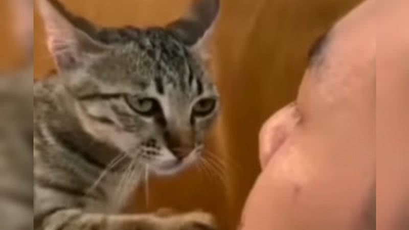 Reprodução/ Vídeo