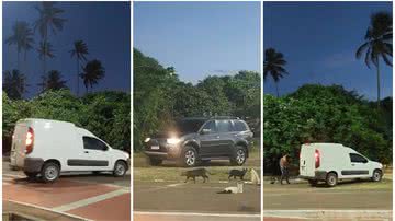 Rreprodução/Instagram/@piata_salvador