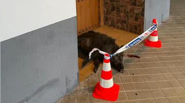 Reprodução/Twitter