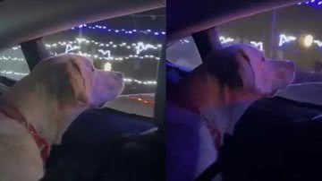 Reprodução/TikTok @kaylaadieppaa