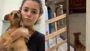 Reprodução/TikTok @yasmimgomes10