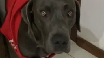 Reprodução/Instagram