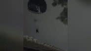 Reprodução / Vídeo