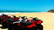 Reprodução/Trivago