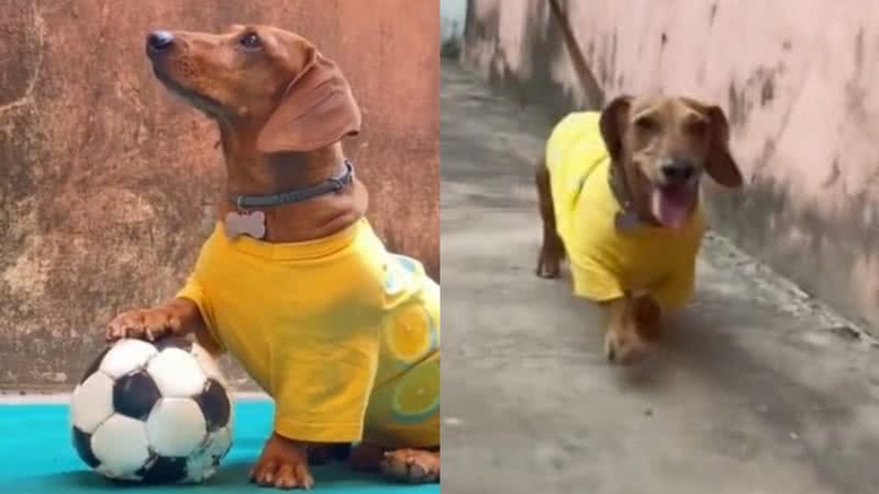 Reprodução/ Vídeo